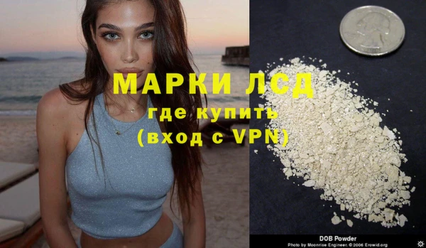 прущие грибы Новодвинск
