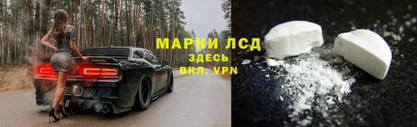 PSILOCYBIN Нея