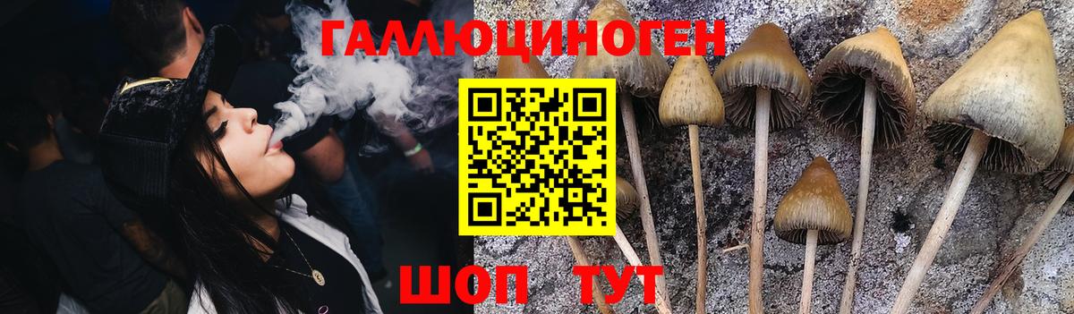 Псилоцибиновые грибы мицелий Фурманов